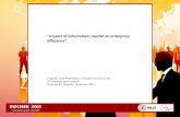 " Impact of information capital  on  enterprise efficiency "