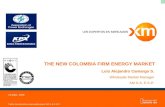 THE NEW COLOMBIA FIRM ENERGY MARKET