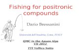 Fishing for positronic compounds