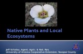 Native Plants and Local Ecosystems