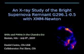 An X-ray Study of the Bright Supernova Remnant G296.1-0.5 with XMM-Newton