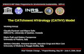 The CATchment HYdrology (CATHY) Model