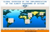 GLOBAL OVERVIEW OF THE IMPLEMENTATION OF THE ALMATY PROGRAMME OF ACTION ( APoA )