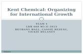 Kent Chemical: Organizing for International Growth