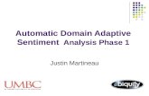 Automatic Domain Adaptive Sentiment   Analysis Phase 1