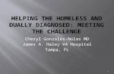 Helping the Homeless and dually diagnosed: meeting the challenge