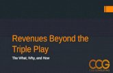 Revenues Beyond the Triple Play