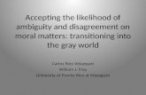 Accepting the likelihood of ambiguity and disagreement on moral matters: transitioning into the gray world