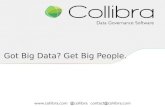 Got Big Data? Get Big People.
