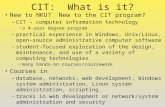 CIT:  What is it?