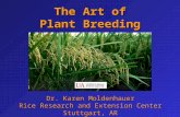 Dr. Karen Moldenhauer Rice Research and Extension Center Stuttgart, AR