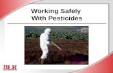 Working Safely  With Pesticides