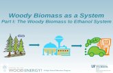 Woody Biomass as a System Part I: The Woody Biomass to Ethanol System
