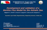 Development and validation of a Benthic Flux Model for the Adriatic Sea