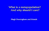 What is a metapopulation? And why should I care?