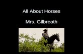All About Horses Mrs. Gilbreath
