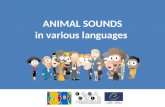 ANIMAL SOUNDS in  various languages