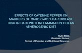 Effects of cayenne pepper on  markers of cardiovascular disease risk in rats with inflammation  fed an atherogenic diet