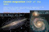 Cosmic magnetism ( KSP of the SKA)
