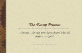 The Essay Process