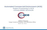 Automated Commercial Environment (ACE )  Export Processing In ACE CESAC/MMM SESSION