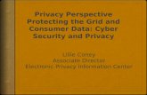Privacy Perspective Protecting  the Grid and Consumer Data: Cyber Security and Privacy