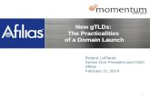 New gTLDs:  The  Practicalities  of a  Domain  Launch