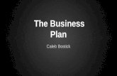 The Business  Plan