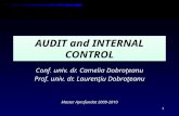 AUDIT and INTERNAL CONTROL