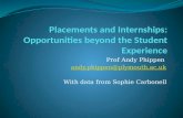 Placements and Internships: Opportunities beyond the Student  Experience