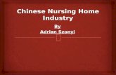 Chinese  Nursing Home  Industry