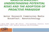 NANOTECHNOLOGY: UNDERSTANDING POTENTIAL RISKS AND THE ADOPTION OF PROACTIVE PARADIGM