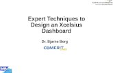 Expert Techniques to Design an Xcelsius Dashboard