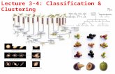 Lecture  3-4:  Classification  & Clustering