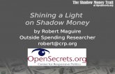 Shining a Light  on Shadow Money