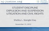 STUDENT DISCIPLINE EXPULSION AND SUSPENSION LITIGATION AND CIVIL RIGHTS
