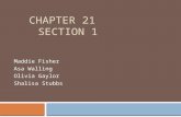 Chapter 21  section 1