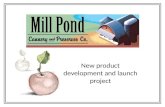 New product development and launch project