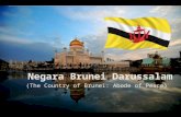 Negara Brunei  Darussalam