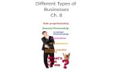 Different Types of  Businesses Ch. 8
