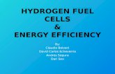 HYDROGEN FUEL CELLS & ENERGY EFFICIENCY
