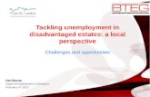 Tackling unemployment in disadvantaged estates: a local perspective Challenges and opportunities