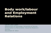 Body  work/labour  and  Employment Relations