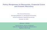 Policy Responses to Recession, Financial Crisis and Anemic Recovery