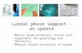 Luteal phase support  –  an update