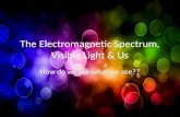 The Electromagnetic Spectrum, Visible Light & Us