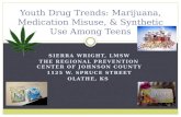 Youth Drug Trends: Marijuana, Medication Misuse, & Synthetic Use Among Teens