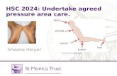 HSC 2024: Undertake agreed  pressure area care.