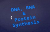 DNA, RNA & Protein Synthesis