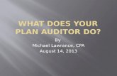 What does your Plan Auditor Do?